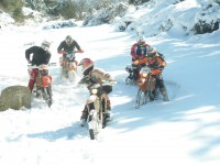 /album/galleria-fotografica/p2120672-jpg/