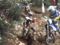 /album/galleria-fotografica/a1375770-717340011614007-791019272-n-jpg/