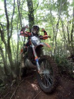 /album/galleria-fotografica/a1385643-717341161613892-1896805098-n-jpg/